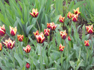 DSCN2647