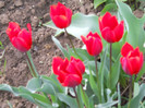 DSCN2648