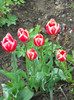 DSCN2649