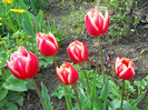 DSCN2650