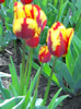 DSCN2651