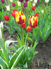DSCN2652