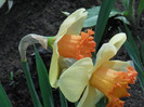DSCN2663
