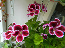 DSCN3571
