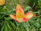 DSCN3574