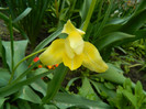 DSCN3576