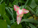 DSCN3582