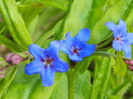 DSCN3602