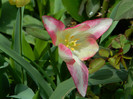 DSCN3605