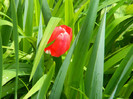DSCN3613