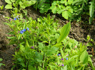 DSCN3617