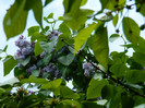DSCN3618