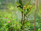 DSCN3624