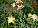 DSCN3629