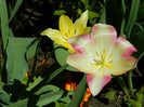DSCN3632