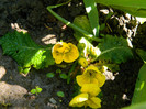 DSCN3634