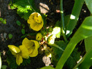 DSCN3635