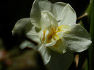 DSCN3643