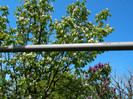 DSCN3644