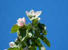DSCN3645