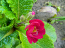 DSCN3651