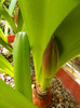 DSCN3652