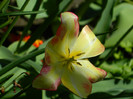 DSCN3658
