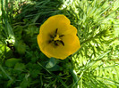 DSCN3662