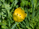 DSCN3663
