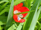 DSCN3679