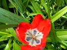 DSCN3680