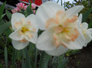 DSCN2614