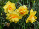 DSCN2659