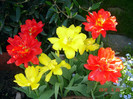 DSC02545