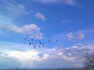 imag1302-001