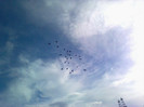 Imag1298