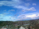 imag1301-001