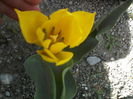 P25-04-12_13.01