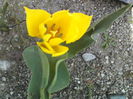 P25-04-12_13.01[1]