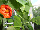 DSC01800