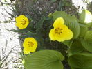 P25-04-12_13.01[2]