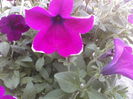 P25-04-12_13.37[1]