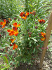 DSCN0774_resize