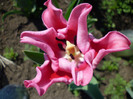 P1000457