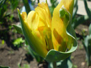 P1000460