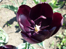 P1000463