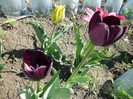 P1000464