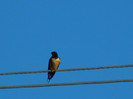 DSCN3766