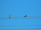 DSCN3770
