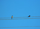 DSCN3771